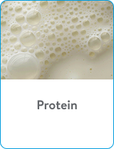 protein