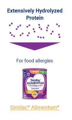 Alimentum