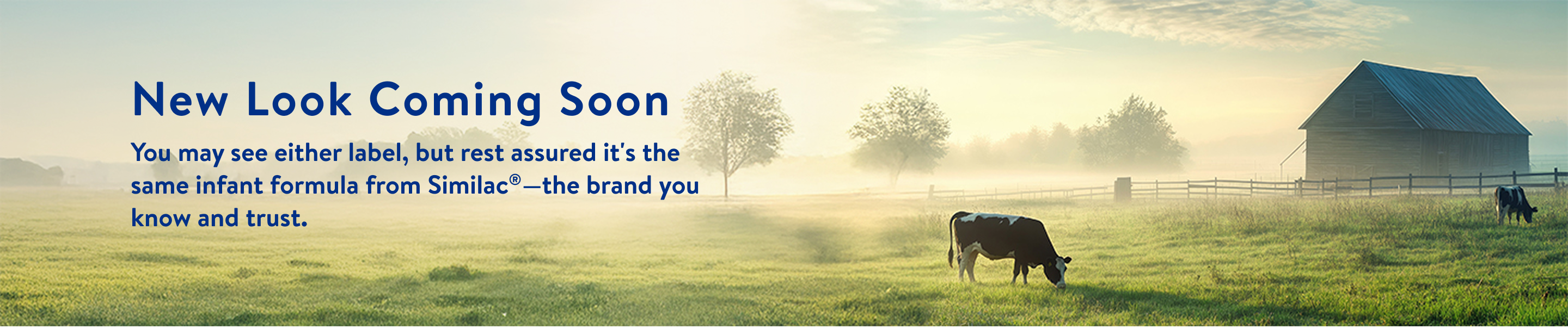 New look coming soon