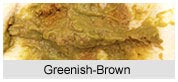 Greenish Brown