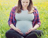 Pregnancy Stages - Week by Week Prenatal Development Guide